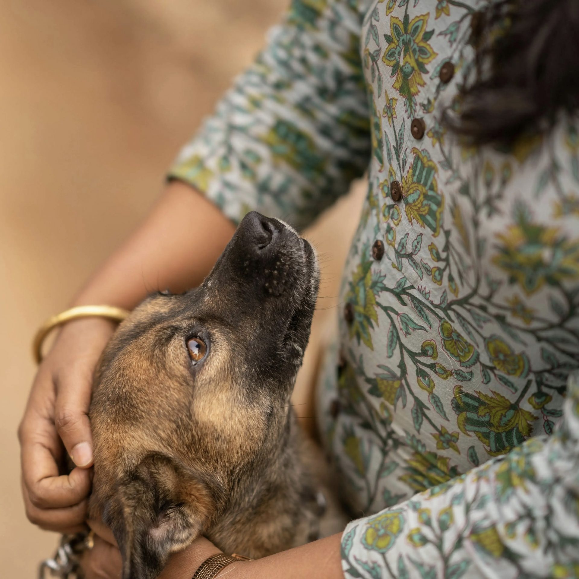 accompagnement fin de vie Accompagnement Fin de Vie