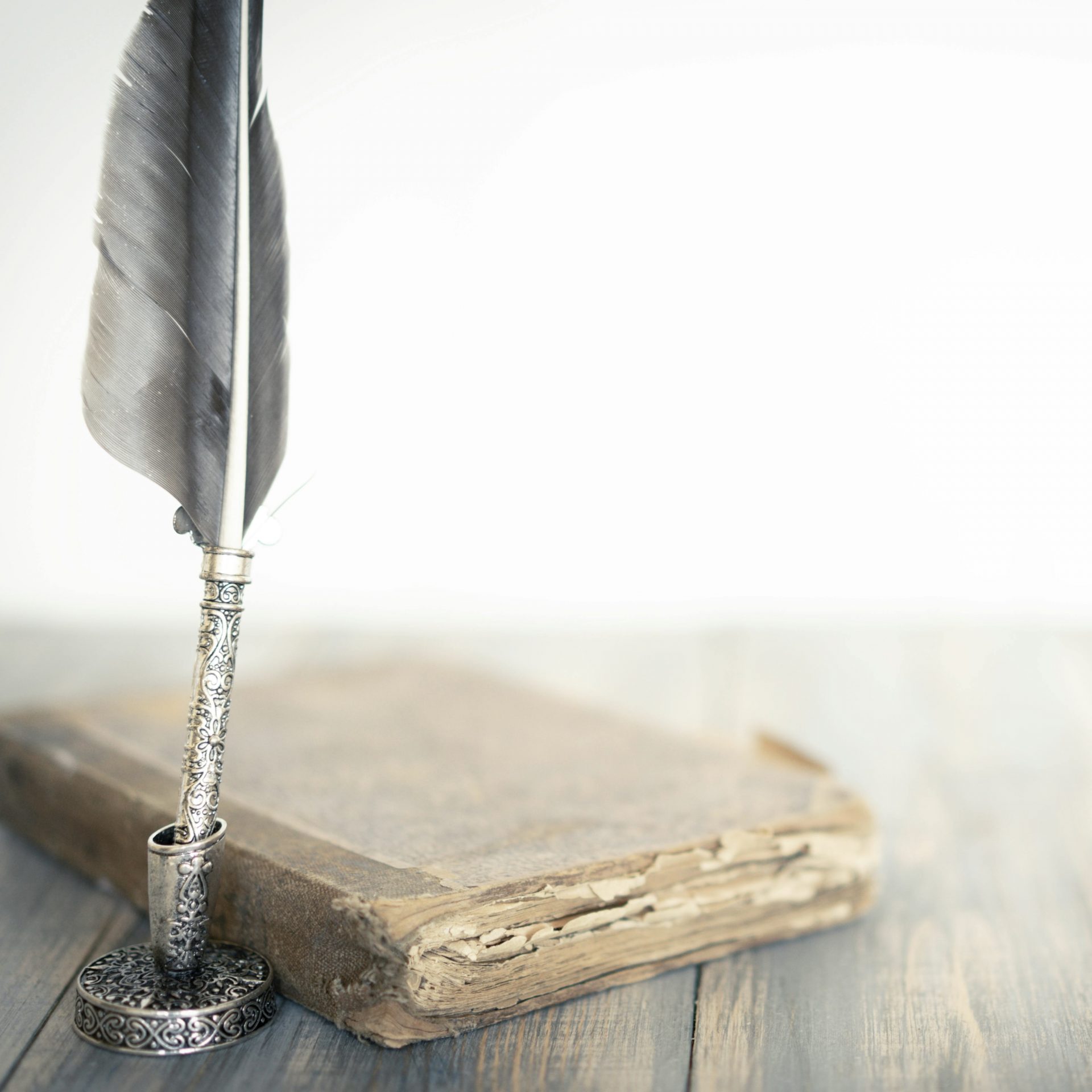 livre--d'or animaux-lisa palot